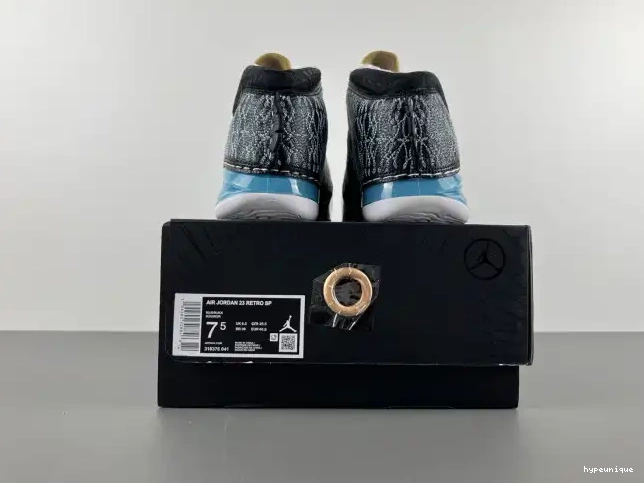 HYPE 23 UNC 318376-041 Jordan 0516